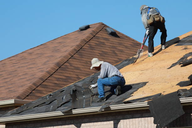 Best Roof Ventilation Installation  in Morris, AL