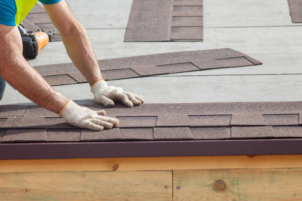 Best Roof Moss and Algae Removal  in Morris, AL
